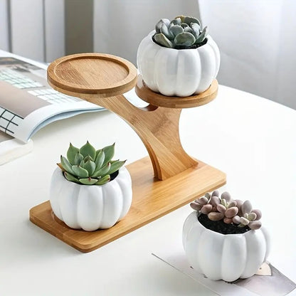 Desktop Pots Storage Shelf