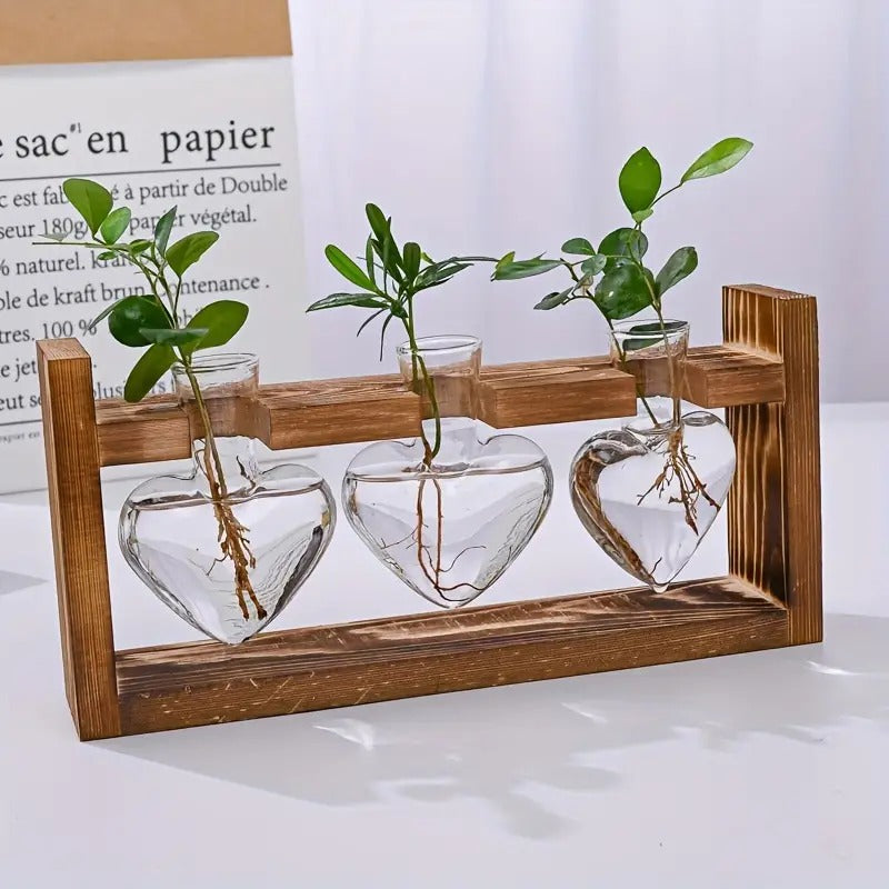 Hydroponic Plant Terrarium Love Heart Vase With Wooden Stand