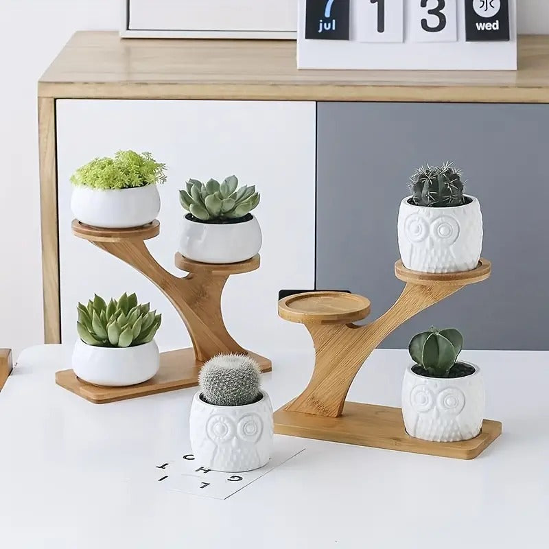 Desktop Pots Storage Shelf