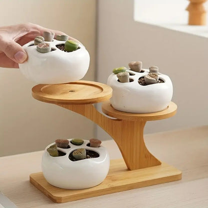 Desktop Pots Storage Shelf