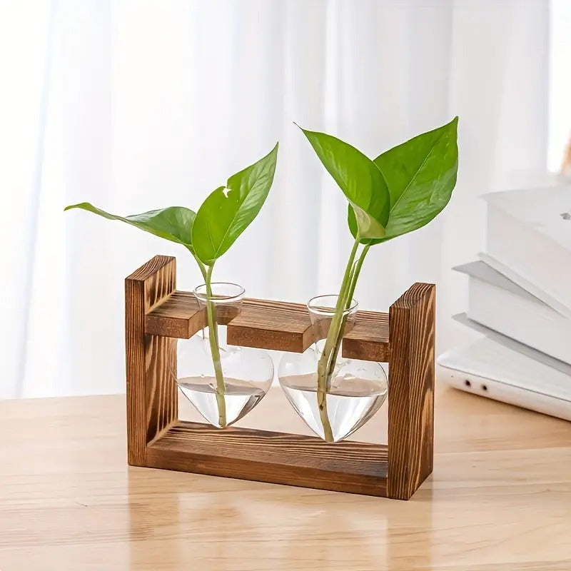 Hydroponic Plant Terrarium Love Heart Vase With Wooden Stand