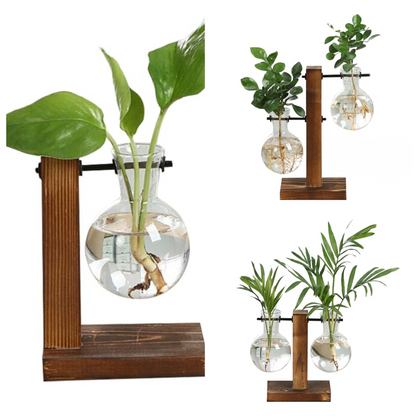 Clear Bulb Tabletop Vase