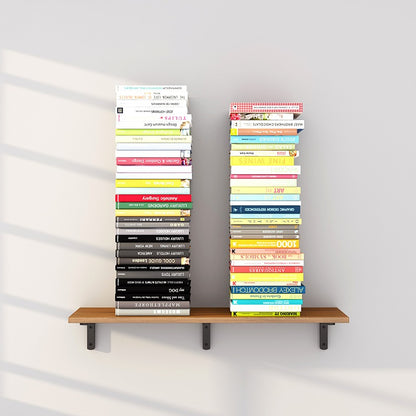 Wall Mounted Floating Shelves