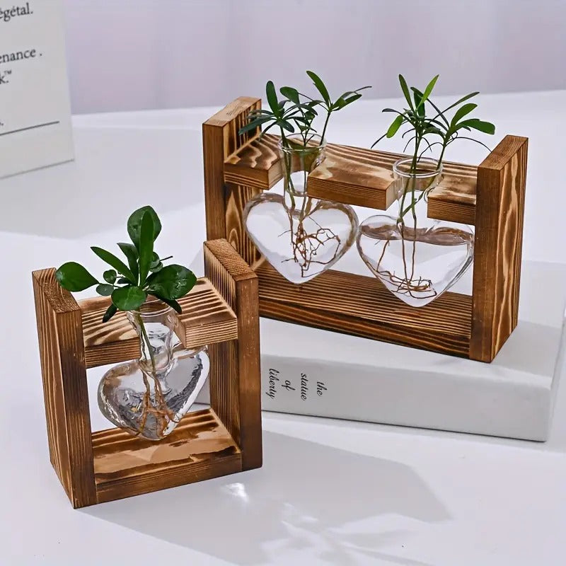 Hydroponic Plant Terrarium Love Heart Vase With Wooden Stand