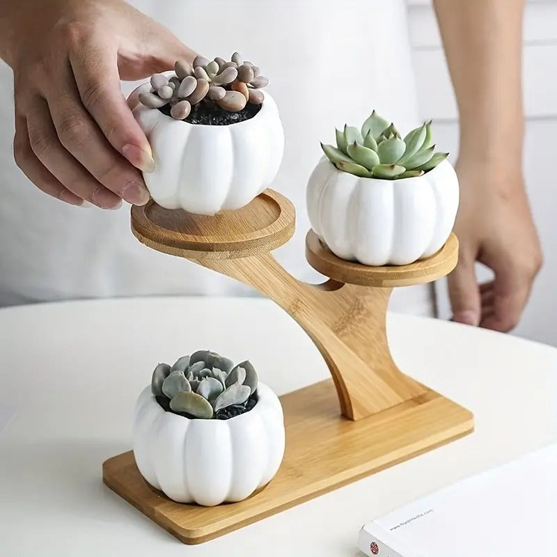 Desktop Pots Storage Shelf